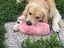 Immagine 5