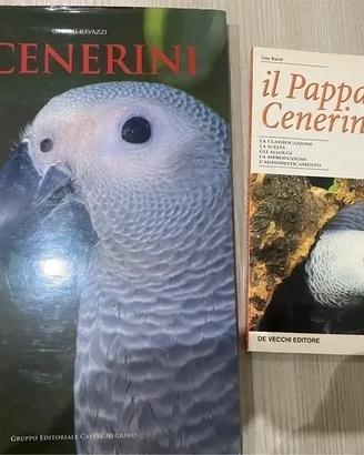 Libri Il pappagallo cenerino e i cenerini 