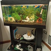 Acquario 110 Lt con Filtto esterno da 300 Lt