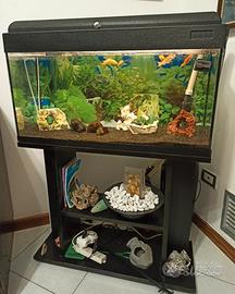 Acquario 110 Lt con Filtto esterno da 300 Lt