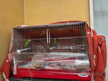 Coppia + gabbia