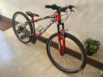 Bicicletta con le marce