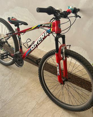 Bicicletta con le marce