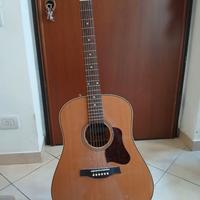 RIBASSO Chitarra acustica Seagull Coastline