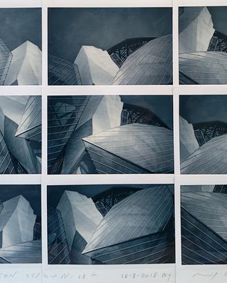 Maurizio Galimberti, Paris F. Louis Vitton n. 18