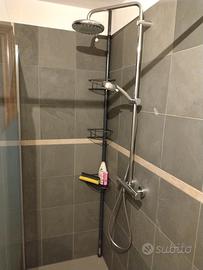 N. 2 pali estensibili porta oggetti per doccia