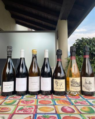 Box unica 7 vini Bernaudeau Brochet Boyer