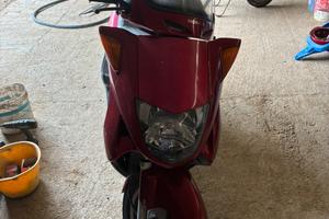 Honda Foresight 250