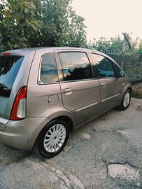 Lancia musa