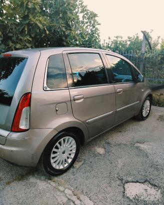 Lancia musa