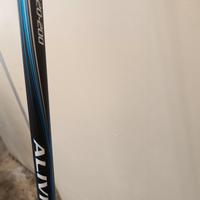Canna da pesca Shimano ALIVIO 
