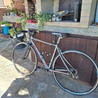 bici da corsa  leecougan donna
