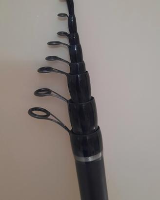 canna bolognese  poseidon  6 metri 
