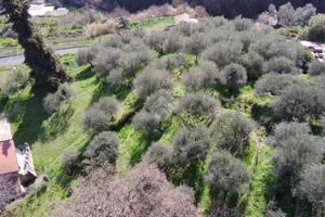 TER. AGRICOLO A SANREMO