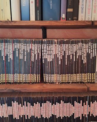Lotto 80 fumetti Dylan Dog + Speciali