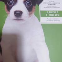 Il Cane Amarlo capirlo educarlo #6
