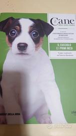 Il Cane Amarlo capirlo educarlo #6