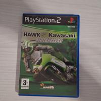 Hawk Kawasaki Race