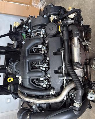 motore peugeot 2.0 imp delphi sigla RHR
