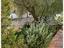 Immagine 9