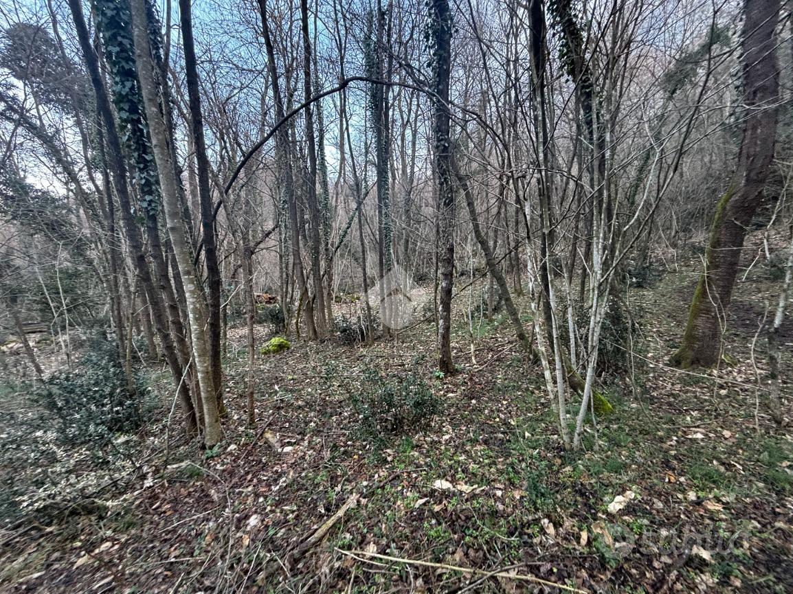 TER. AGRICOLO A LIERNA - Vista 2
