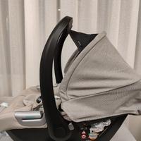 Ovetto Inglesina Darwin Infant