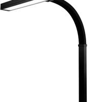 Lampada da scrivania LED con morsetto 