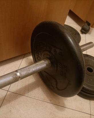 bilanciere più dischi domyos