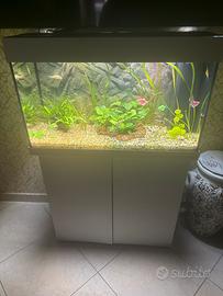 Acquario 125 l