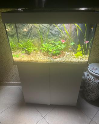 Acquario 125 l