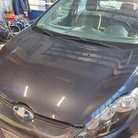 Cofano FORD FIESTA del 2009