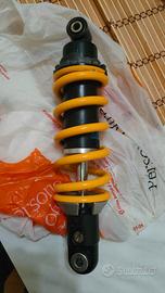 Ammortizzatore Posteriore