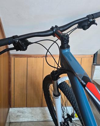 bicicletta da ragazzo