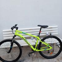 st 100 rockrider 