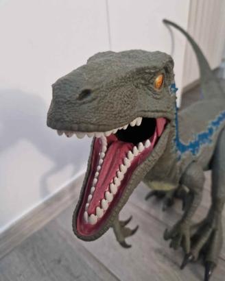 velociraptor jurassic word