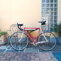 Carnielli Bottecchia 989 comp