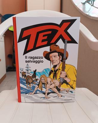 Tex cartonato il ragazzo selvaggio 