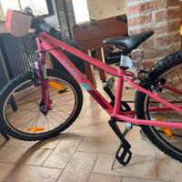 Cube Acid Race 24″ (2024)