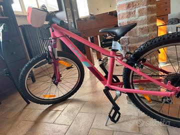 Cube Acid Race 24″ (2024)