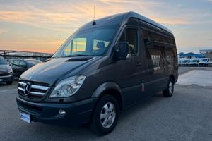 Mercedes Benz Sprinter 316 CDI PULMINO BUS 9 POSTI