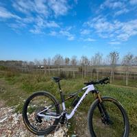 Orbea oiz