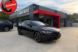 Alfa Romeo Giulia 2.2 Turbodiesel 210 CV AT8 Q4 Ve