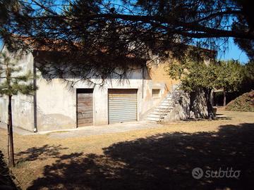 Rustico con ampia corte