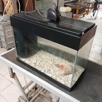 Acquario. completo  e accessori 
