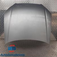 COFANO ANTERIORE AUDI A4 (04-07)