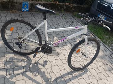 bicicletta perfetta 