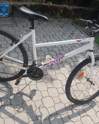bicicletta perfetta 