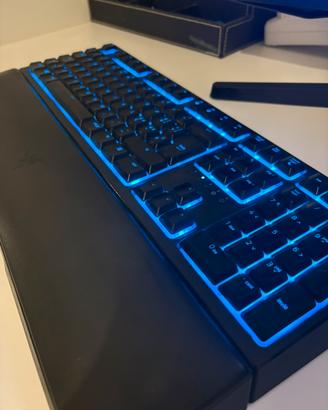 Tastiera Gaming Razer Ornata v2