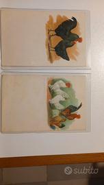 Animali da cortile 1905