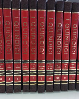 Enciclopedia per ragazzi 'I quindici' vintage'